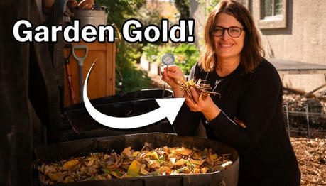 Composting 101: Turning Kitchen Scraps into Garden Gold