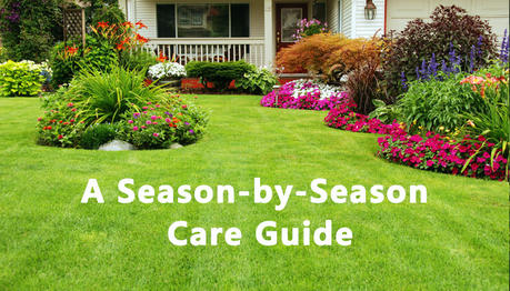 Revitalizing Your Lawn: A Season-by-Season Care Guide
