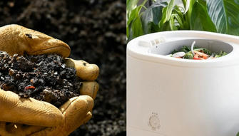Composting 101: Turning Kitchen Scraps into Garden Gold
