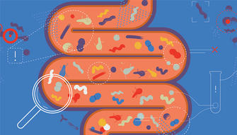 The Link Between Stress and Digestion: What You Need to Know